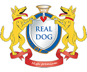 footer_logo