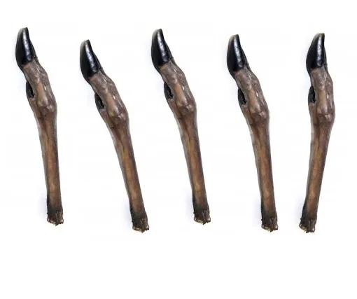 Picture of RD7602 Real Dog Snacks Deer Legs 5pcs.
